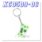 KC0509-06