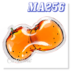 Oranges magnet