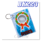 BK223