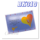 BK310